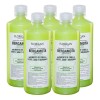 Florigan Shampoo Bergamota Florigan 1lt Crecimiento De Cabello Pack 5
