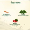 Biotique Berberry Refreshing Cleansing Lotion for All Skin Types