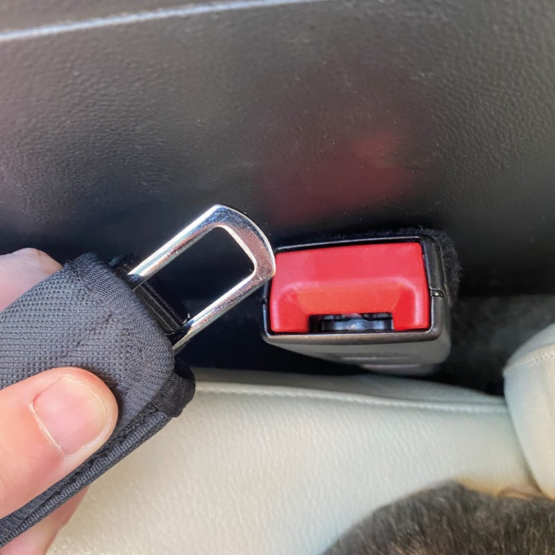 Sakura 2 in 1 Dog Lead Seat Belt Strap