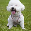 PawSailor Step-in Dog Harness Small Dogs, No Pull Adjustable Soft