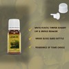 Aroma Depot Essential Oil 10ml Lemon Scented Oil I Premium