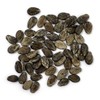 Organic Watermelon Seeds (Crimson Sweet) - Approx 12 Seeds -