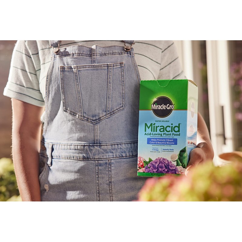 Miracle-Gro Water Soluble Miracid Acid-Loving Plant Food