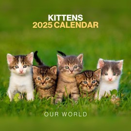 Kitten Calendar 2025 - Large 12 Month 2025 Wall Calendar - Month to View Cat Calendar 2025 Made by Our World