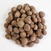 Oherve 육두구 250g 향신료 넛메그 넛맥 너트맥 넛트맥 nutmeg Nutmeg