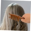 Minkissy Scalp Travel Comb Decorative Wooden Comb Perfect for Massaging