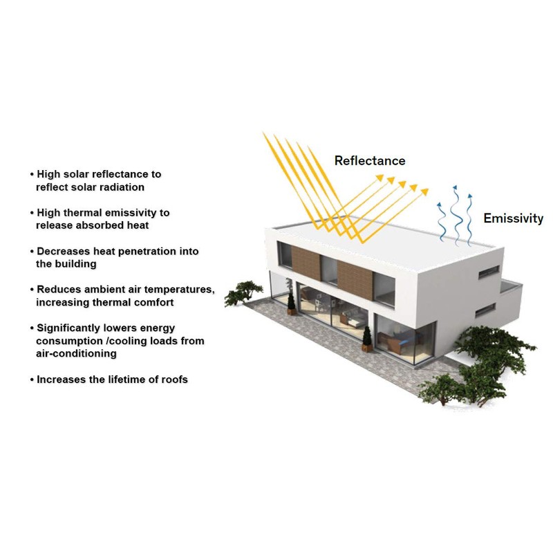 Liquid Rubber Waterproofing and Protective Coating, Rubberseal (1 Gallon, White)
