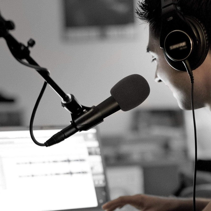 Slzhds 10 Pcs Fundas para Micrófono, Cubierta de Micrófono, Protector