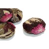 Green Flowering Artisan Tea Volcano Flower Burst 15 Tea Balls