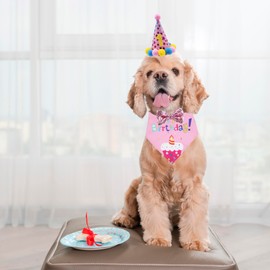 ADOGGYGO Dog Birthday Bandana Scarf and Dog Girl Boy Birthday Party Hat with Cute Dog Bow Tie for Small Dog Cat (Small, Pink)
