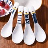 Japanese Soup Spoons Ramen Spoons Asian Chinese Soup Spoons