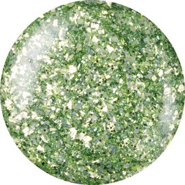 kokoist 4-Colored Gels E – 194 2.5 G guri-nsupanguritta- UV/LED Compatible