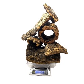 10 Pound ASSORTED Box of Virgin Cork Bark - for Orchids, Airplants, Reptiles