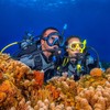 Tusa M-212 Ceos Clear Skirt Scuba Diving Mask - Flash