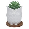 Ceramic Owl Succulent Planter Pot with Drainage Tray, Cute Animal
