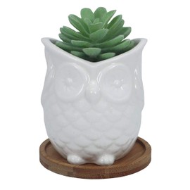 Ceramic Owl Succulent Planter Pot with Drainage Tray, Cute Animal Cactus Flower Container, White Bonsai Holder for Indoor Plants