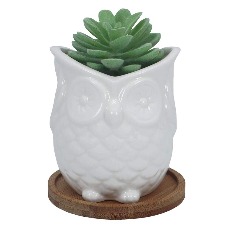 Ceramic Owl Succulent Planter Pot with Drainage Tray, Cute Animal