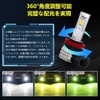 2023 Explosive Light Model, H8 LED, 3 Color Switching, H11,