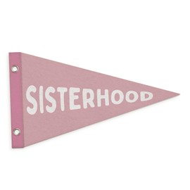 MOFUYU Girl Nursery Pennant Banners Flags Decor,Playroom Felt Banner Wall Decor for Girls Bedroom,Toddler Decorations,Teen Girls Room,Twins Bedroom Decor 7.4x14 Inch