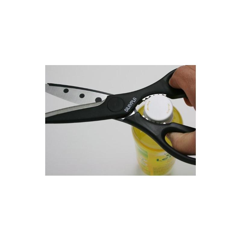 Silky purakittinbasami