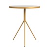 HomePop Marble Top End/Side Round Table with Gold Base