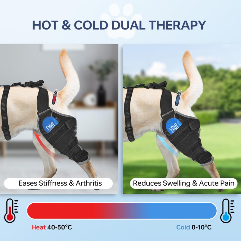 Moysoon Dog Knee Brace for Back Leg - Adjustable Breathable