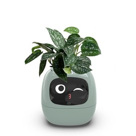 Smart Flowerpots,Smart Pet Planter,Ai Planter,Intelligent Flowerpots,Multiple Expressions,7 Smart Sensors, And Ai Chips Make Raising Plants Easy And Fun For Living Room,Desk,Plant-free (Green)