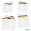 Storage Cubes - 11 Inch Cube Storage Bins (Set of