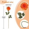 IPOPU 5 Pcs Orange Artificial Dahlia with Stem 27” Silk