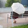 balvi Puppymbrella Umbrella Beige Includes Neoprene Cover in the Shape
