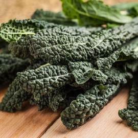 Viridis Hortus - Nero Di Toscana Borecole Curly Kale 4500 (15g's) Vegetable Seeds