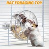 VCEPJH Rat Foraging Toy Interactive Slow Feeder with Transparent Rotating