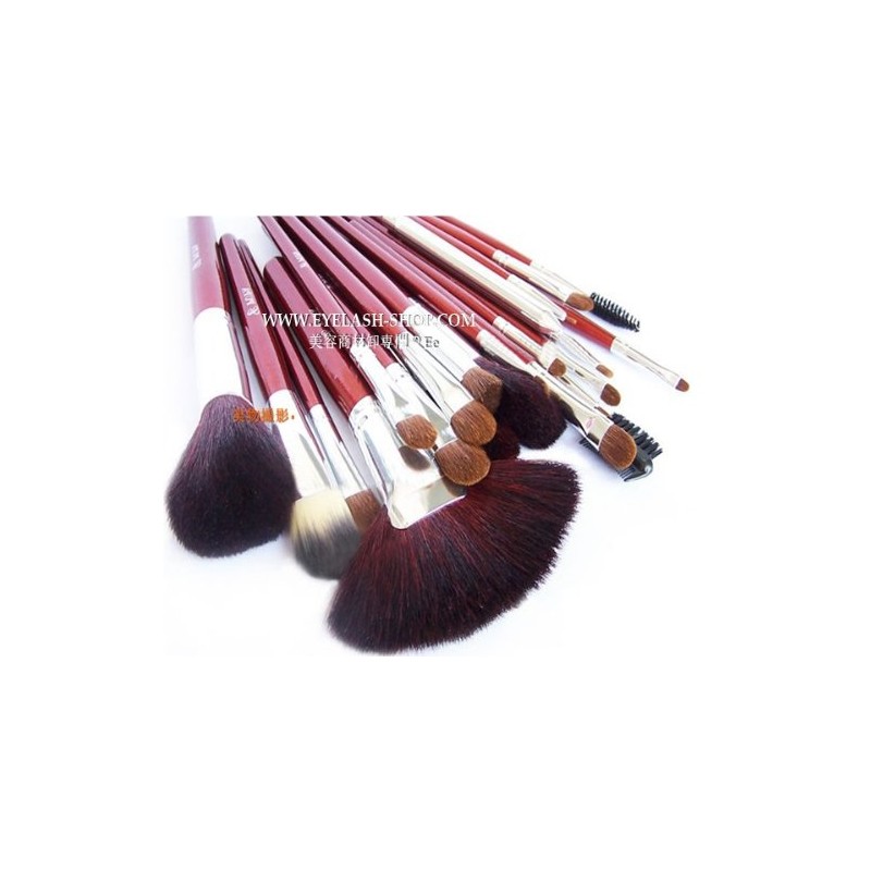 STZ-2402 Makeup Brush Set with Brush Storage Case, 24 Brush