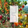 Gansita Fruit Tree Branch Puller Tying Machine Farm Tools Tree