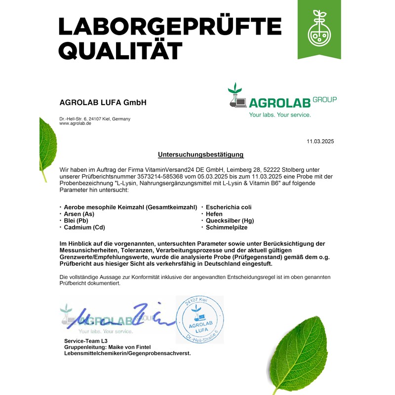 L-Lysine Powder 500 g without Additives - 100% Pure and