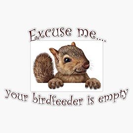 Magnet Excuse me...Your Birdfeeder is Empty Magnet Vinyl Magnetic Sticker 20 mil - Size 5"