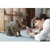 INABA Churu Lickable Purée Natural Cat Treats (Tuna with Scallop