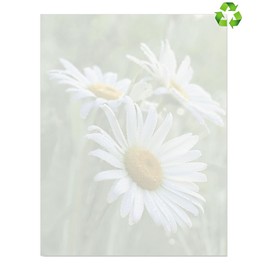 Paperdirect Abundant Wild Daisies Flowers Spring Invite Special Event Theme Paper Stationery, Border Paper, Letterhead 8.5 x 11, 25 sheets, Elegant Premium Writing Paper, Decorative Printer Paper