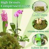 Halatool 6OZ Green Moss for Indoor Plants, 8QT Orchid Moss