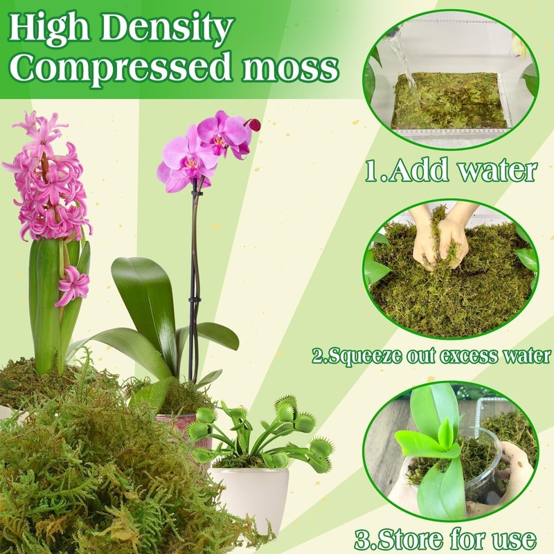 Halatool 6OZ Green Moss for Indoor Plants, 8QT Orchid Moss