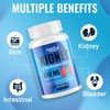SatorSeed Kidney Cleanse Detox & Repair – Kidney Support Supplement