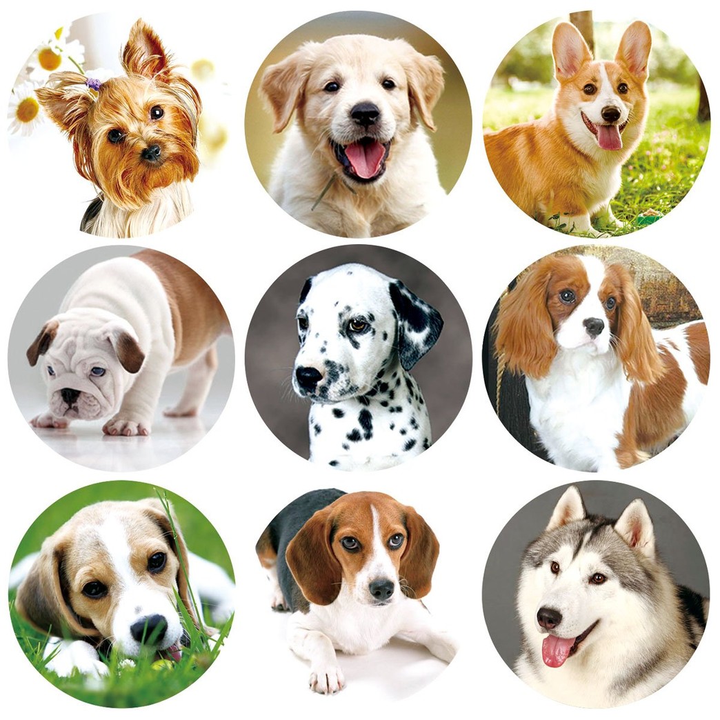200 Pcs Dog Stickers Adorable Live Puppy Sticker for Christmas Party Favor Holiday Envelope Seal Stickers