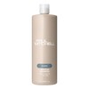 Paul Mitchell Awapuhi Shampoo, Balances Moisture + Adds Shine, For