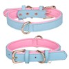 ABRRLO Dog Collar for Small Medium Large Dogs Comfortable and