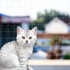 Cat Balcony Net Cat Anti-Fall Fence Net Dog Fence Nets