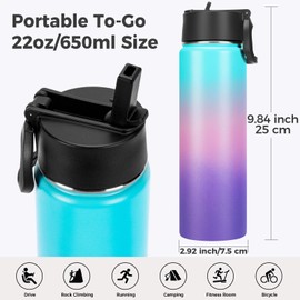 Neihepal 22 oz Insulated Water Bottles with Leak Proof Straw Lid, Wide Mouth Double Walled Vacuum Stainless Steel Metal Water Bottle (Gradient Color,2 Pack)