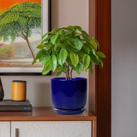 SUNPOTFOR 8 Inch Ceramic Plant Pot - Decorative Round Planter for Indoor Plants with Drainage Hole and Saucer, Home House Room Office Garden Decor, Blue