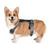 Adjustable Pet Orange Blue Chest Strap Outdoor Activities High Visibility