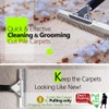 Pet Hair Carpet Rake - Multi-Surface Brush & Broom for