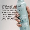 Aveda Scalp Solutions Balancing Shampoo Limpiador Hidratante